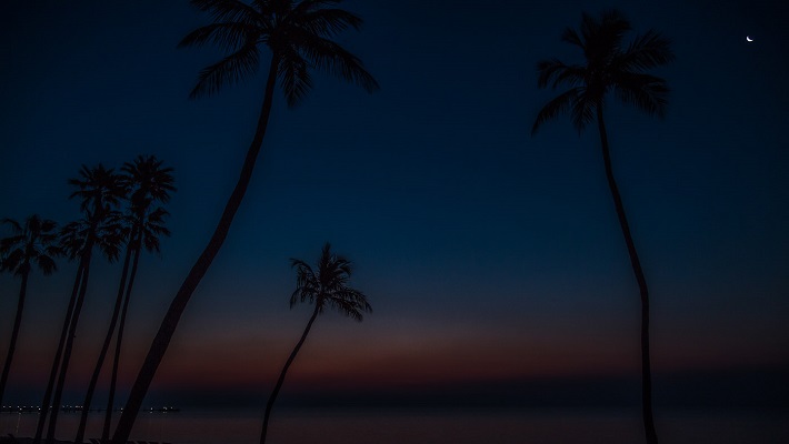 The early morning hours before sunrise in Islamorada. All photos courtesy T.J. Drechsel