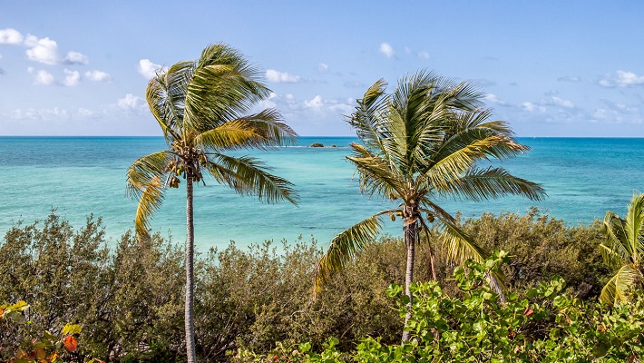 Bahia Honda Key State Park.