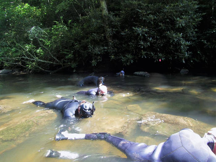 Snorkel in the Oxbow River and take in the views of freshwater aquatic life. (Port City Daily photo/COURTESY OF OXBOW RIVER SNORKELING)