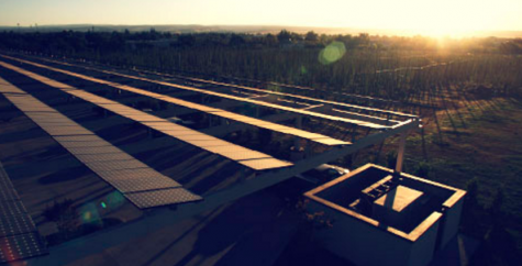 Sierra Nevada's Chico solar farm. The brewery is working to expand it's NC efforts to catch up with the wide range of sustainability efforts in their original California location. (Port City Daily photo / SIERRA NEVADA)