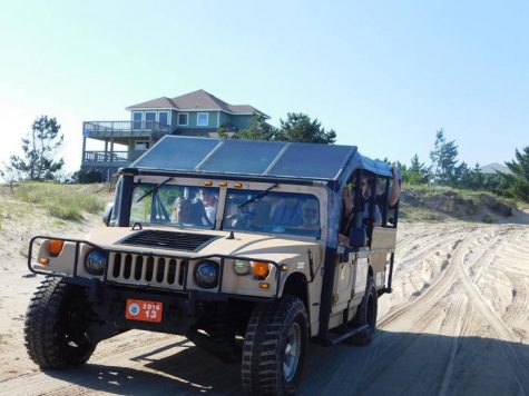Take a two-hour, open-Hummer tour of Corolla, an island in the Outer Banks that is home to wild Banker horses believed to have been left behind by Spanish explorers in the 1500s. (PORT CITY DAILY PHOTO/COURTESY WILD HORSE ADVENTURE TOURS)