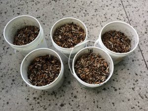 Buckets of Butts: Each of these buckets holds approximately 8 lbs. of cigarette waste, or almost 8,000 individual butts. (Port City Daily photo/Courtesy Keep New Hanover Beautiful)