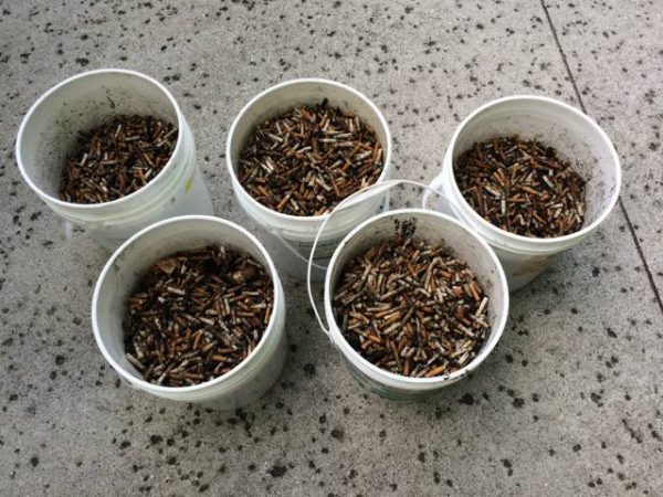 Buckets of Butts: Each of these buckets holds approximately 8 lbs. of cigarette waste, or almost 8,000 individual butts. (Port City Daily photo/Courtesy Keep New Hanover Beautiful)