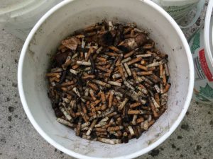 Although small, cigarette butts contribute to a significant amount of litter. Studies show that butts like these can take up to 10 years to degrade. (Port City Daily photo/Courtesy Keep New Hanover Beautiful)