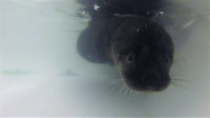 One of the youngsters getting a better look at the camera.