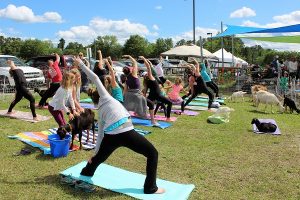 Yoga is another option. A morning slow flow can be a pick-me-up for tired guests. (Port City Daily photo/CORY MANNION)