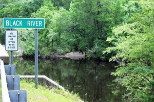 The Black River may look docile now, but Pender County residents saw it breach it's banks by over 16' during Hurricane Matthew. (Port City Daily photo/CORY MANNION)