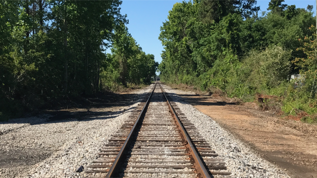 Wilmington’s rail realignment plan would take miles of freight rail in the city and turn it into a light rail public transit system. The project would require major infrastructure investments, including a new rail bridge over the Cape Fear, and could cost upward of $1 billion. (Port City Daily photo | Benjamin Schachtman)