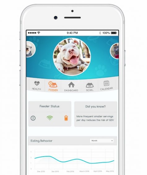 Petrics planned app will help track eating behavior and other aspects of pet health. (Port City Daily photo / COURTESY PETRICS)