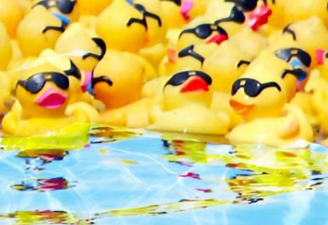 15,000 rubber duckies are coming to Wilmington. (Port City Daily photo / COURTESY DUCK RACE)