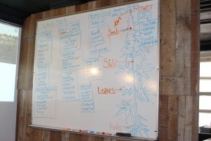 The hour long class offers attendees a look at the history of Hemp in America. (Port City Daily/MICHAEL PRAATS)