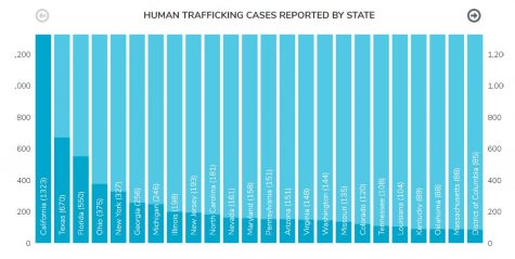 According to the National Human Trafficking Hotline, North Carolina ranks high nationally for reported victims. (Port City Daily photo / COURTESY NHTH)