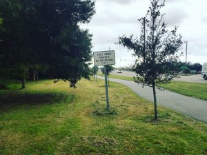 The Town of Wrightsville Beach will vote to approve or deny the request to the NCDOT to install landscaping on the right-of-way where boaters have made an impromptu overflow parking lot during busy days (Port City Daily photo/MICHAEL PRAATS)