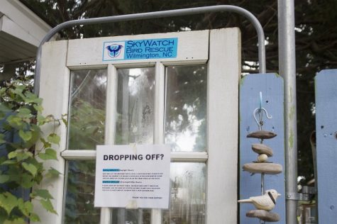 Volunteers, donors and good Samaritans with rescued birds ring SkyWatch's bell. (Port City Daily photo / JOHANNA FEREBEE)