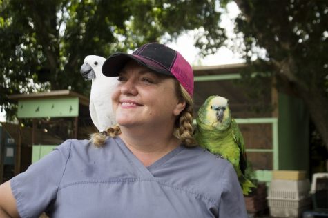 Amelia Mason, owner and founder of SkyWatch Bird Rescue, stands in front of a few of the bird enclosures located on the back of her 10-acre property in Castle Hayne. (Port City Daily photo / JOHANNA FEREBEE)