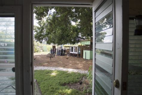 (Port City Daily photo / JOHANNA FEREBEE)