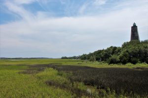 The Kent Mitchell Nature Trail and the Bald Head Island Maritime Forest Preserve offer day trippers the chance to experience the entire area, as well as much of the islands native flora and fauna, without breaking an arm and a leg. (Port City Daily photo/CORY MANNION)