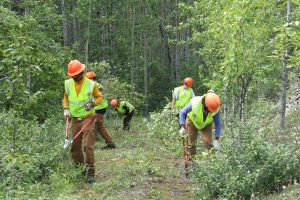The team clearing trails alongside National Park System workers (Port City Daily photo / courtesy of NCOAE)