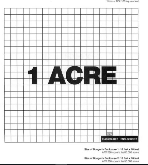 Relative size of the enclosures for Booger and Ben compared to the state standards for protected black bears. 