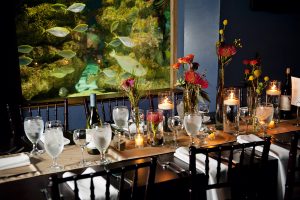 The NC Aquarium at Fort Fisher is becoming a popular wedding venue. (Port City Daily photo / DIANNA DAMES)