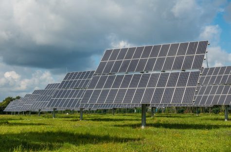 Solar farms in Brunswick County could face new requirements if approved (Port City Daily photo/FILE)