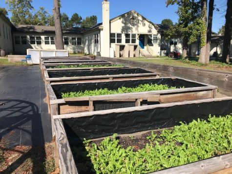 The 'urban farm' at Leading Into New Communities, Inc. (Port City Daily photo / BENJAMIN SCHACHTMAN)