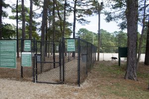 The Ogden dog park has separate enclosures for small and large dogs, ground-level water fountains and shaded areas. (Port City Daily / photo JOHANNA FEREBEE)