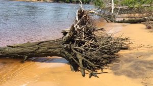 Erosion mitigation is about to begin along Snow's Cut in Carolina Beach thanks in part to the Army Corps of Engineer's (Port City Daily photo/MIKE KANE)
