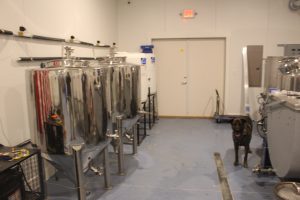The Salty Turtle will be dog friendly when it opens, for now, Callender's dog Axle helps man the shop while the finishing touches are put on the storefront (Port City Daily photo/MICHAEL PRAATS)