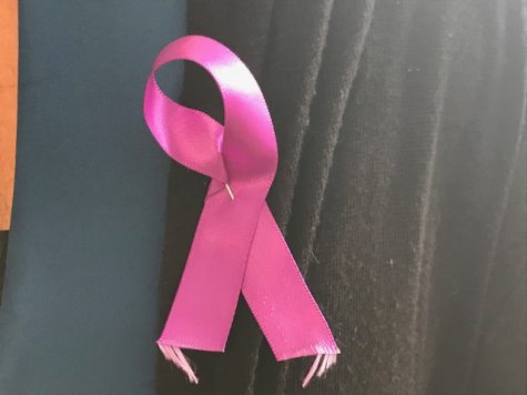 Supports of Ben Privott's family and friends wore purple ribbons. (Port City Daily photo / BENJAMIN SCHACHTMAN)