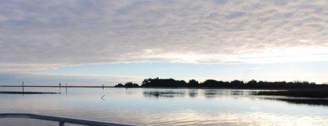 Rain caused by subtropical storm Alberto lead to a sewer spill on Monday. (Port City Daily photo | Benjamin Schachtman)