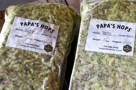 Wilmington brewer's have purchased half of Papa's Hops' inaugural crop of hops grown in Reidsville, North Carolina. (Port City Daily photo / JOHANNA FEREBEE)