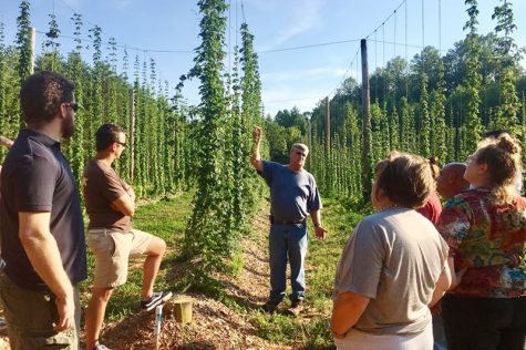 Don Pullins (center) with his mid-season 2017 crop of hops in Reidsville, NC. (Port City Daily photo / COURTESY OF LAURA FOY)