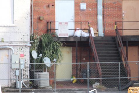 The rear entrance to North 273 Front Street, residence of Stephen Roger Hughes II. The palm tree is mentioned in the 911 call. Hughes said he thought the tree was responsible for the banging on his door. Hughes claims he answered the door and confronted Marine Corporal Edwin Maurico Estrada, killing him. (Port City Daily photo / BENJAMIN SCHACHTMAN)