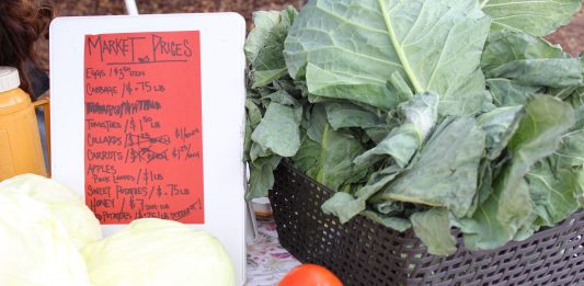 Feast Down East hosts a weekly fresh market open to the public every Friday selling fresh produce sourced from local farmers in Southeastern North Carolina. (Port City Daily photo/OLIVIA PARR)