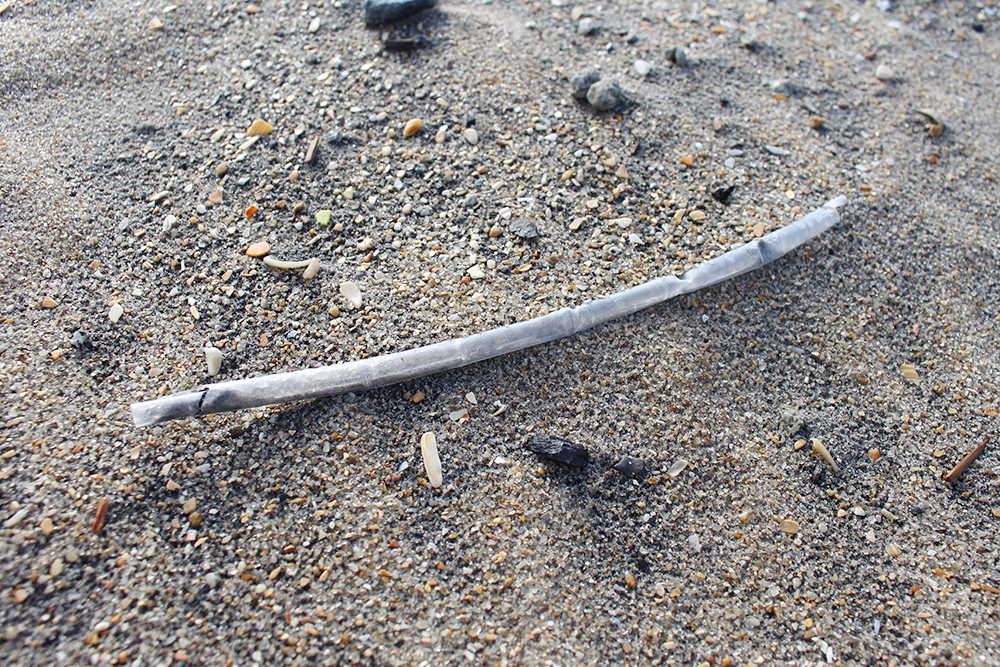 On national "Skip the Straw" day, area campaigns ask locals to mind their relationship with single-use plastic. (Port City Daily photo /JOHANNA FEREBEE)