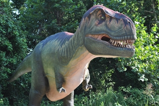 Tyrannosaurus Rex, along with several other species of dinosaur, will be animatronically brought to life at Fort Fisher Aquarium. (Port City Daily photo | COURTESY FORT FISHER AQUARIUM)