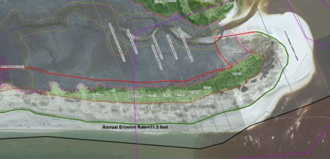 The Town of Carolina Beach has begun the process of eminent domain to acquire land owned by LLCs near Freeman Park (Port City Daily photo/COURTESY CAROLINA BEACH)