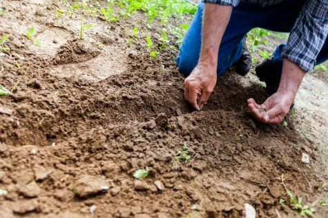 Former Progressive Gardens owners Evan Folds has a new venture, Be Agricultural, aimed at making people better farmers. (Port City Daily photo | COURTESY BE AGRICULTURAL)