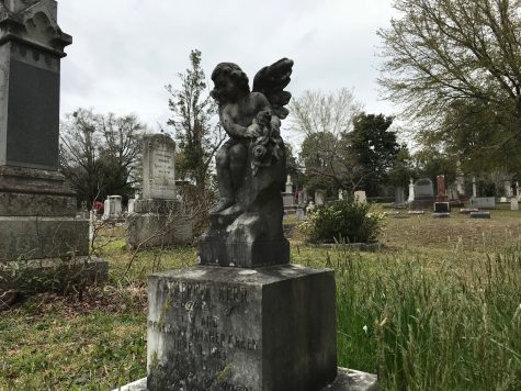 Oakdale Cemetery, founded in 1854, is the oldest rural cemetery in North Carolina and was part of sweeping changes in how communities dealt with death. (Port City Daily photo | BENJAMIN SCHACHTMAN)