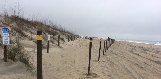 New ropes and posts have been installed in Carolina Beach's Freeman Park, but it is not the work of private property owners (Port City Daily photo/JOHANNA FEREBEE)