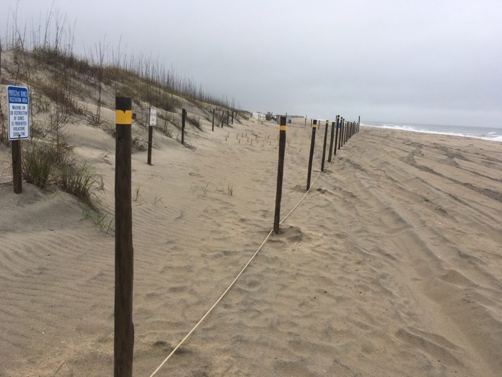 New ropes and posts have been installed in Carolina Beach's Freeman Park, but it is not the work of private property owners (Port City Daily photo/JOHANNA FEREBEE)