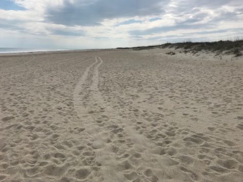 The specialized beach-chairs offered at Carolina Beach and Fort Fisher allowed Thea Zwart to make tracks across the beach. (Port City Daily photo | BENJAMIN SCHACHTMAN)