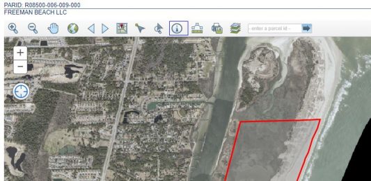 The roughly 170-acre parcel of land at Freeman Park is valued by the county at $42,400 (Port City Daily photo/COURTESY NHC)