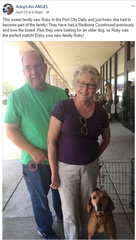 Adopt-an-Angel reported Ruby was adopted on Saturday, April 28. (Port City Daily photo | Courtesy Adopt-an-Angel)