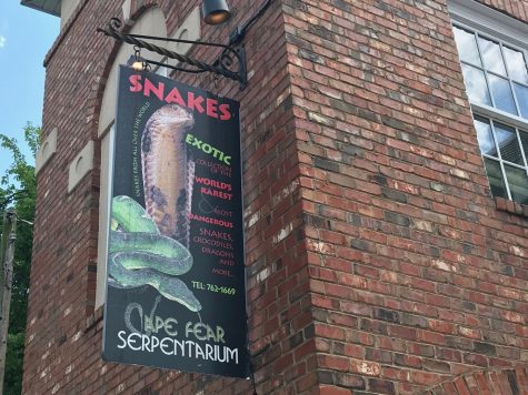 The Cape Fear Serpentarium has closed permanently after its reptiles were sold; according to the family that owns the Serpentarium, they were kept out of the sale process by the Clerk of New Hanover County Superior Court and its appointed attorney. (Port City Daily photo | Benjamin Schachtman)