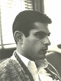 David Israel Sepsenwol