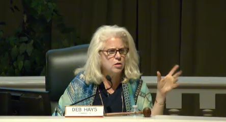 Deb Hays asked if anyone in the assembled crowd wanted to speak in favor of The Avenue. After a peal of laughter, one person spoke in favor of the project. (Port City Daily photo | Courtesy City of Wilmington)