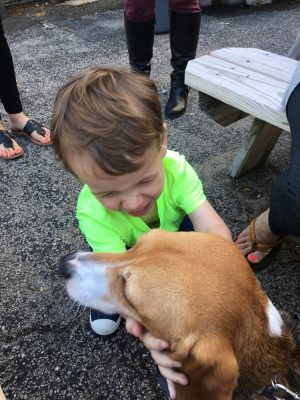 Though Howie does not qualify as a therapy dog, he's become a draw for people when he goes out. (Port City Daily/Courtesy photo)