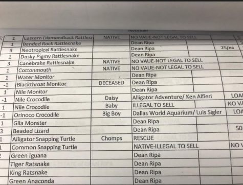 Many of the Serpentarium's reptiles are illegal to sell or on loan from other owners. (Port City Daily photo | Superior Court of New Hanover County)
